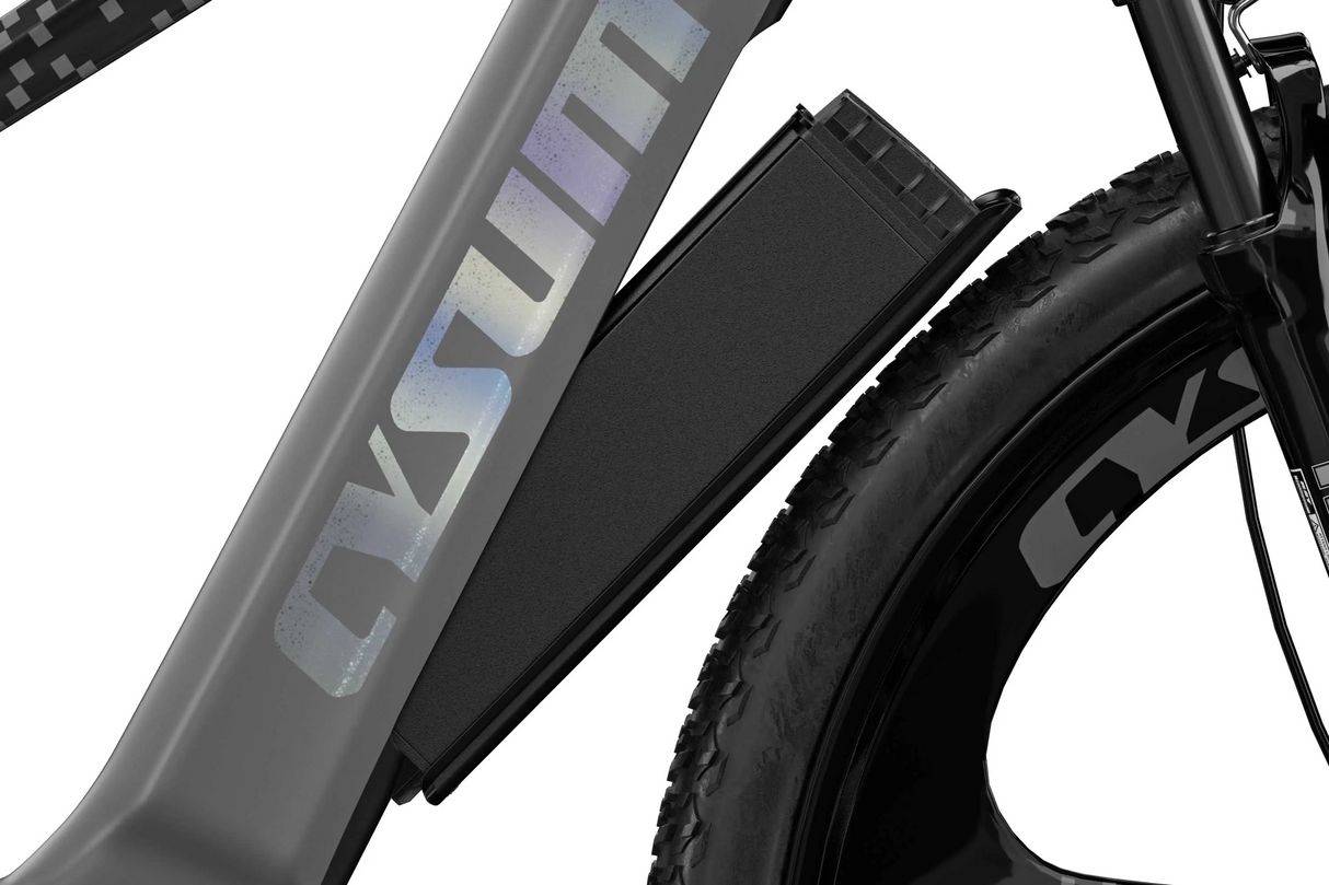 M520 E-bike Spare battery 48V 14Ah