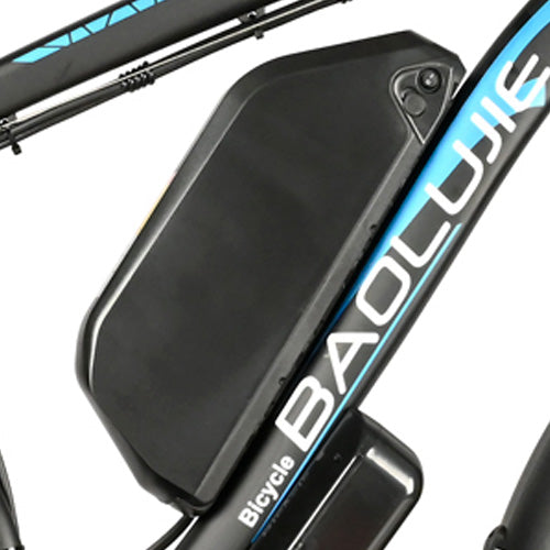 DP-2602 E-bike Spare battery 48V 20Ah