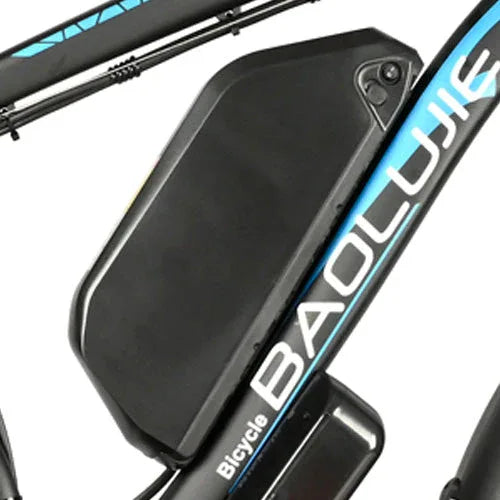 DP-2602 E-bike Spare battery 48V 20Ah - Rich Bit eBike