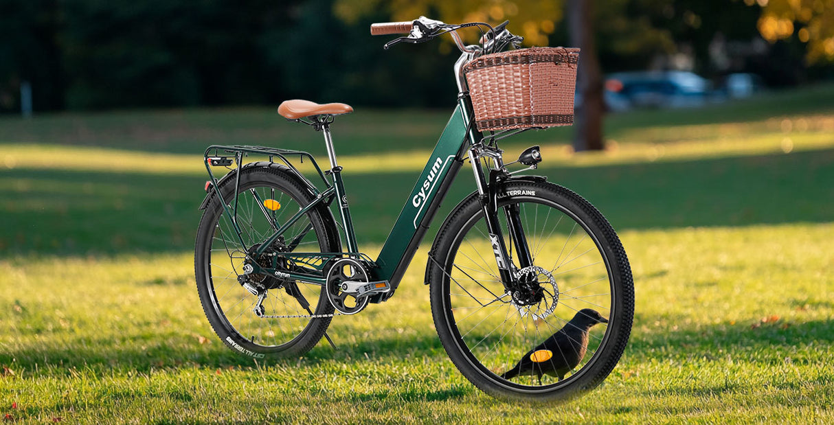 Cityrun 26" City Electric Bike, 40Nm Commuter Bike, 36V 10Ah Li-Battery City eBike