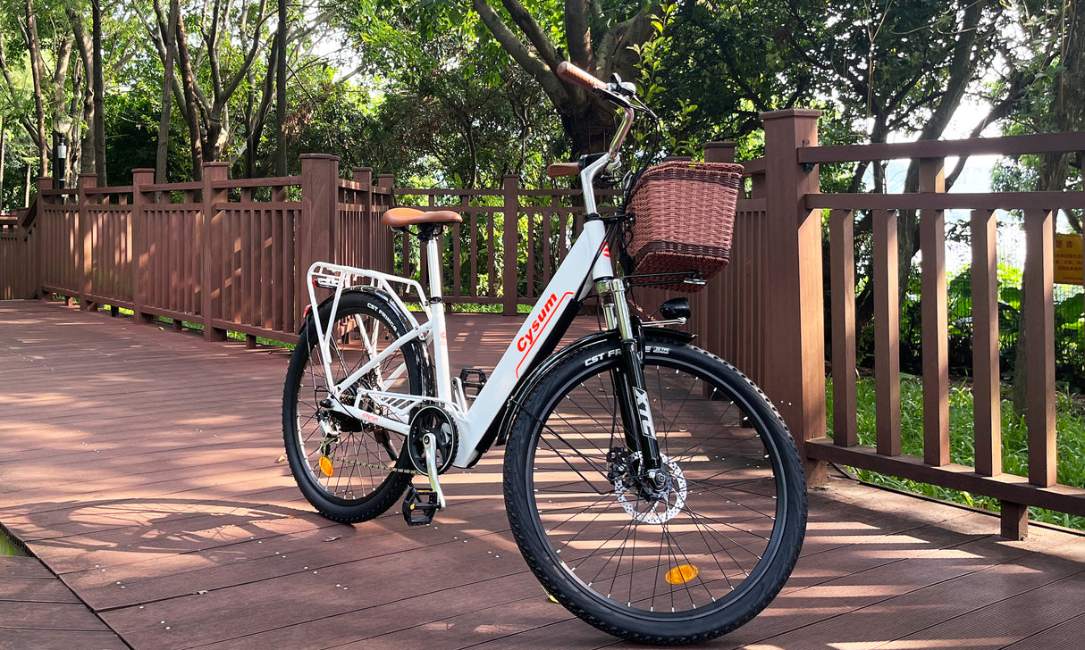 Cityrun 26" City Electric Bike, 40Nm Commuter Bike, 36V 10Ah Li-Battery City eBike