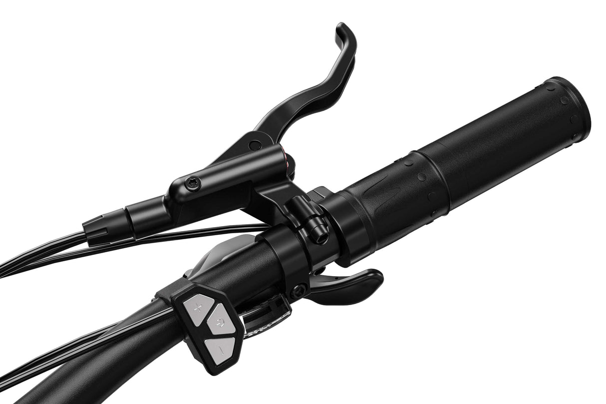 Electric Bike Folding Bicyle Throttle 48v/36v RICH BIT EBIKE OFFICIAL STORE