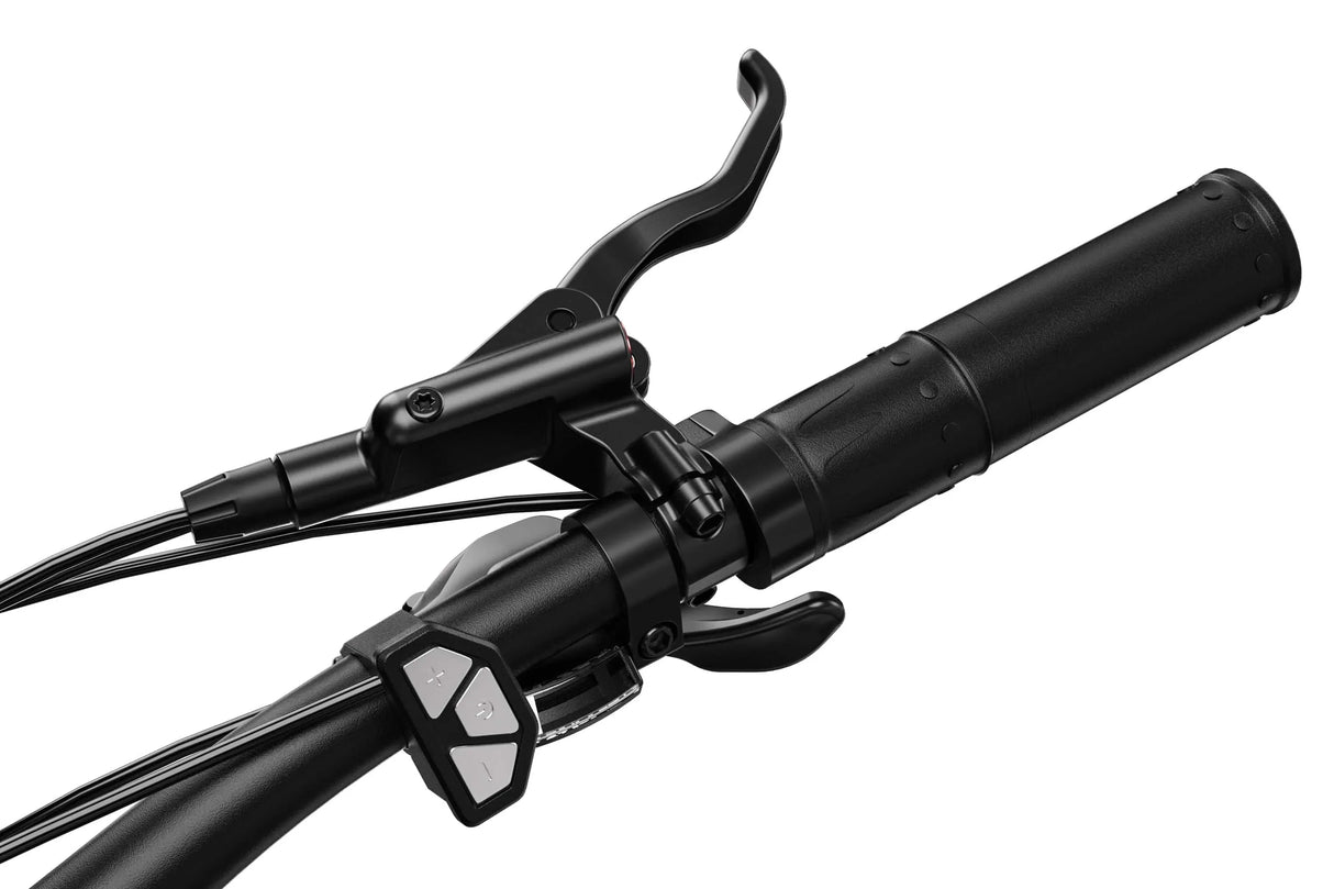 Electric Bike Folding Bicyle Throttle 48v/36v - Rich Bit eBike