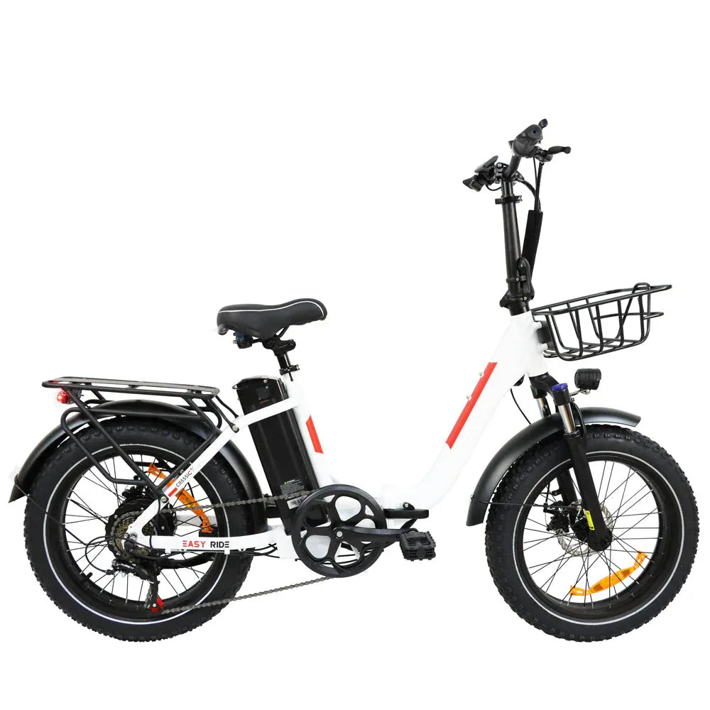 BAOLUJIE DZ-2030 Foldable Fat Electric Bike 20inch | 48v 500w rear hub | Disc Brake | 13Ah lithium battery - Rich Bit eBike