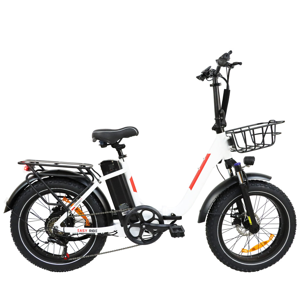 BAOLUJIE DZ-2030 Foldable Fat Electric Bike 20inch | 48v 500w rear hub | Disc Brake | 13Ah lithium battery