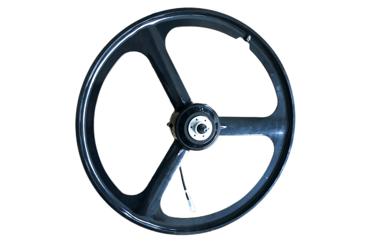 RICH BIT TOP-860 Integrated Wheel Brushless Motor 36v 250w RICH BIT EBIKE OFFICIAL STORE