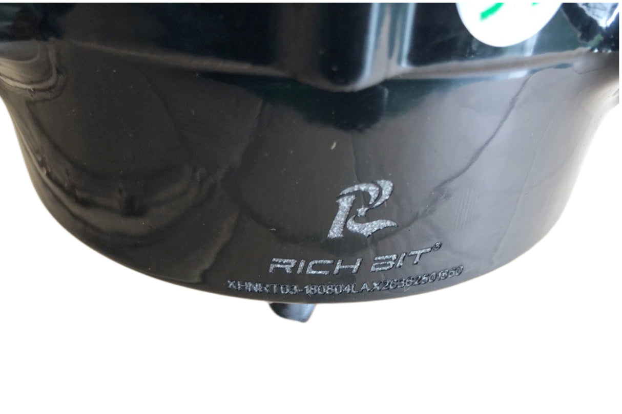 RICH BIT TOP-860 Integrated Wheel Brushless Motor 36v 250w RICH BIT EBIKE OFFICIAL STORE