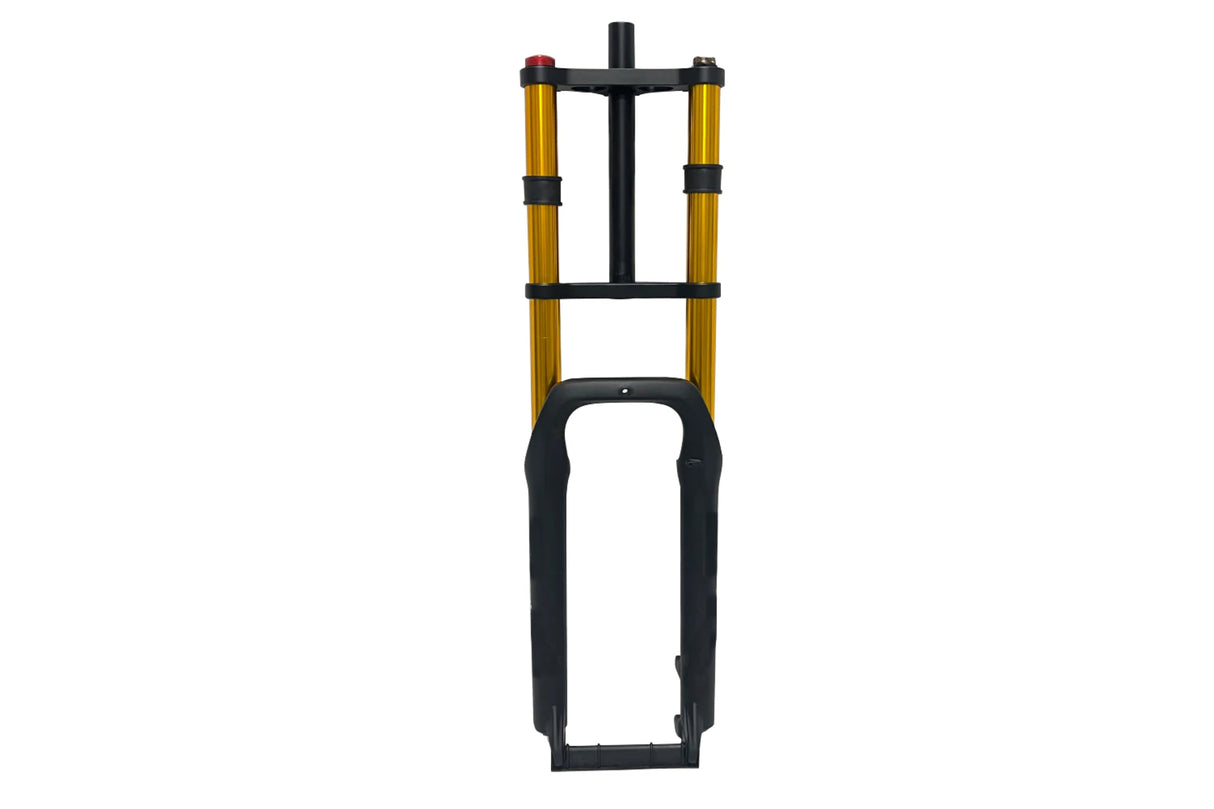 M900 Quick Release Shock Disc Brake Fork Electric Fat Bike Front Fork 26ER RICH BIT EBIKE OFFICIAL STORE
