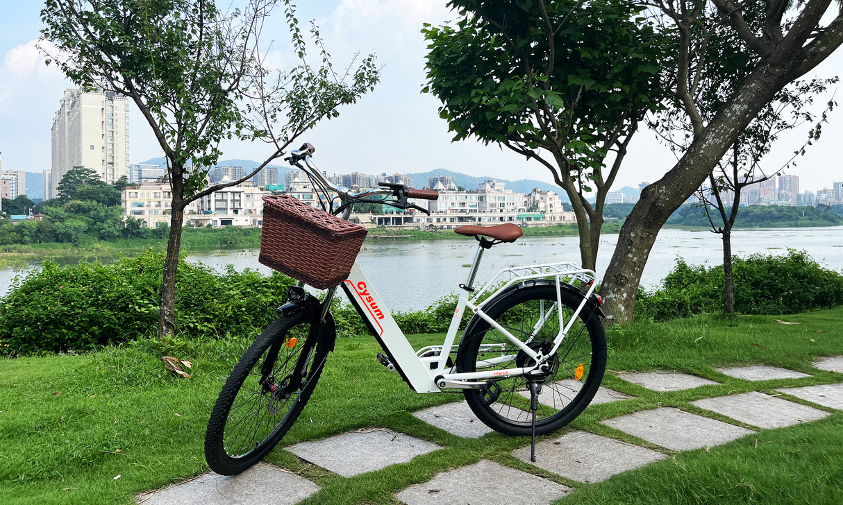 Cityrun 26" City Electric Bike, 40Nm Commuter Bike, 36V 10Ah Li-Battery City eBike
