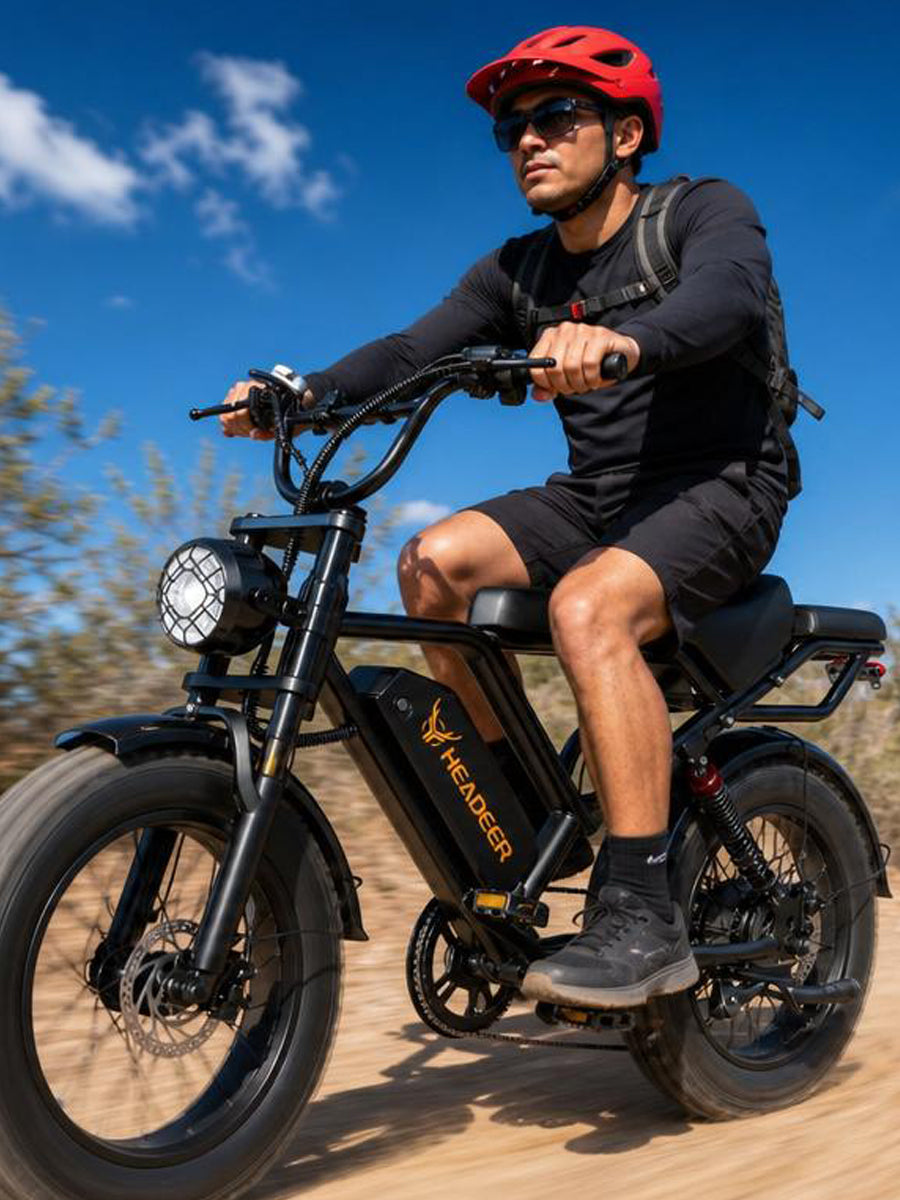 Headeer BK20 Full Suspension 20 Inch Fat e Bike Rich Bit eBike