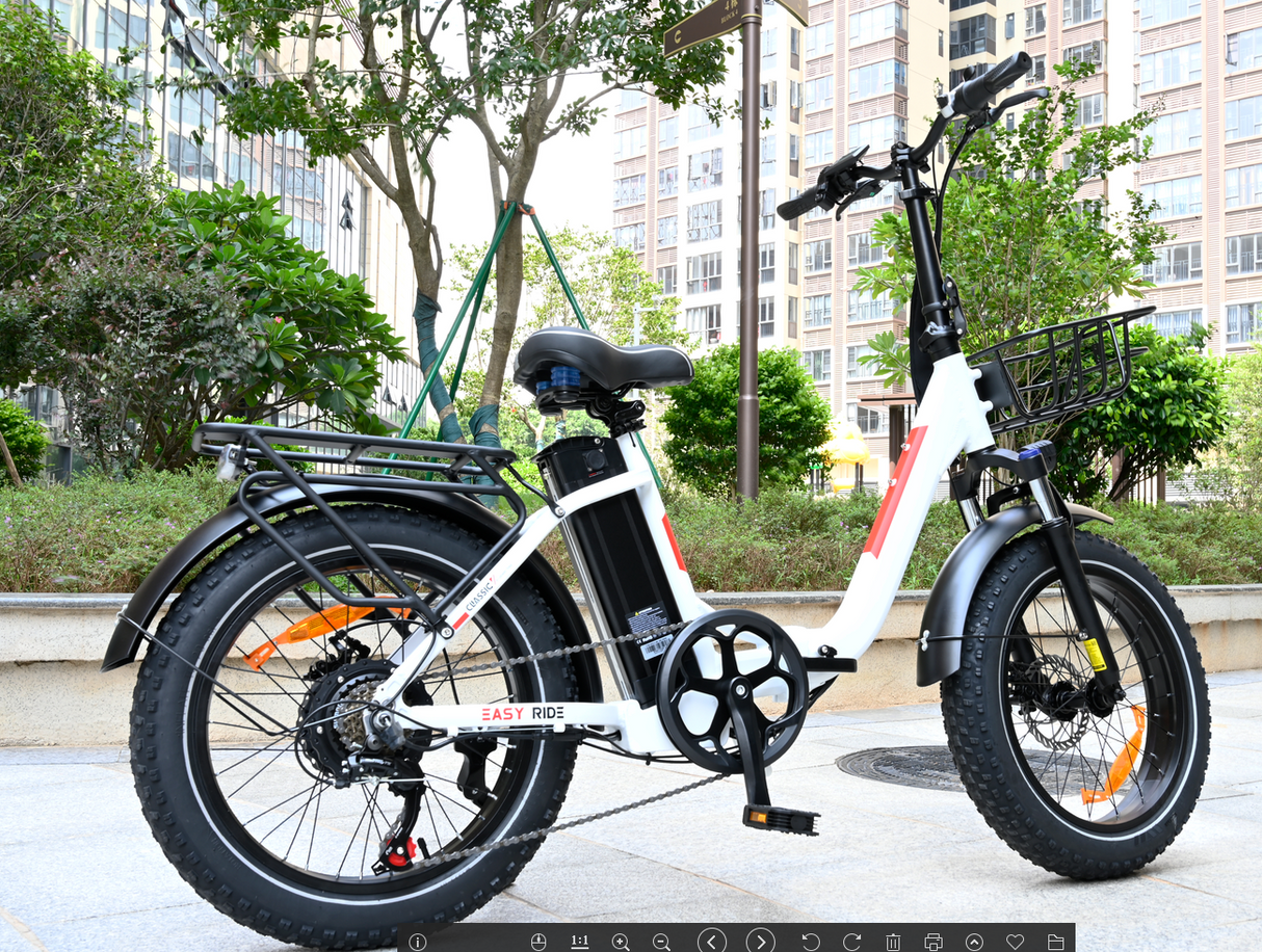 BAOLUJIE DZ-2030 Foldable Fat Electric Bike 20inch | 48v 500w rear hub | Disc Brake | 13Ah lithium battery