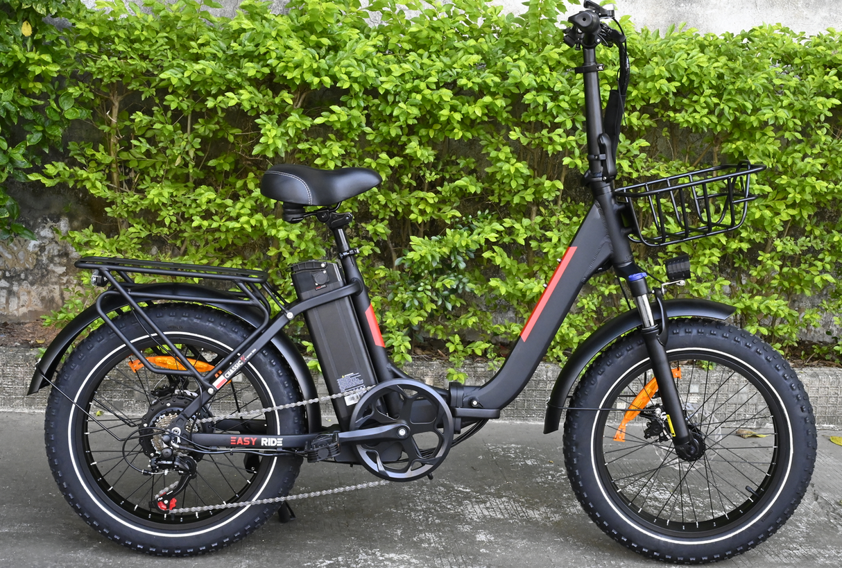BAOLUJIE DZ-2030 Foldable Fat Electric Bike 20inch | 48v 500w rear hub | Disc Brake | 13Ah lithium battery