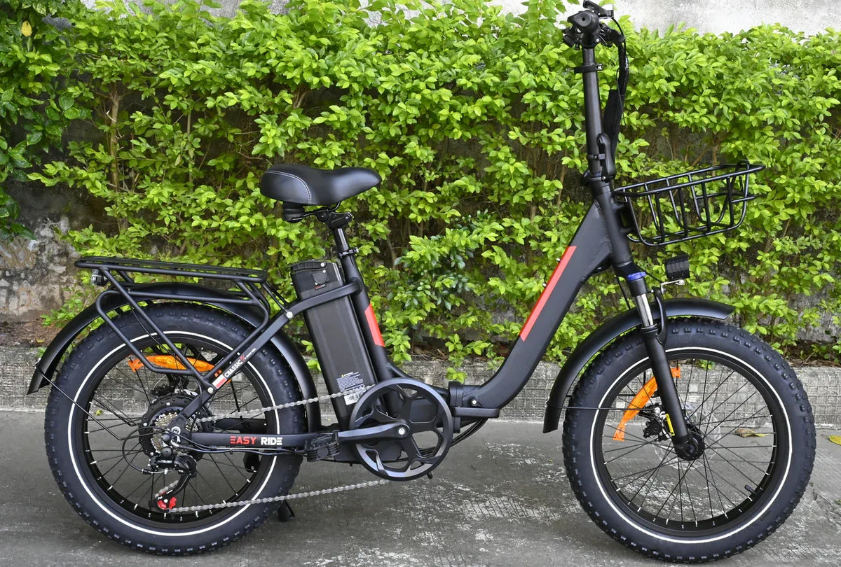 BAOLUJIE DZ-2030 Foldable Fat Electric Bike 20inch | 48v 500w rear hub | Disc Brake | 13Ah lithium battery - Rich Bit eBike