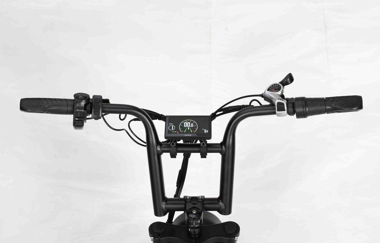 BAOLUJIE DP-2033 Fat Electric Bike 20inch | 48v 2000w dual motor | Hydraulic Disc Brake | 30Ah dual battery Rich Bit eBike