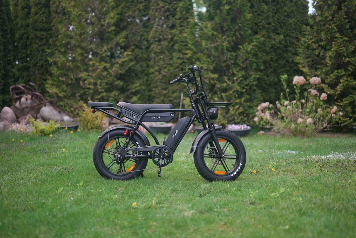 PIXAR M9 Dual Battery Electric Bike | 48V 35Ah Long Range | 250W High Speed Motor | 20" Fat Tire All-Terrain E-Bike Rich Bit eBike