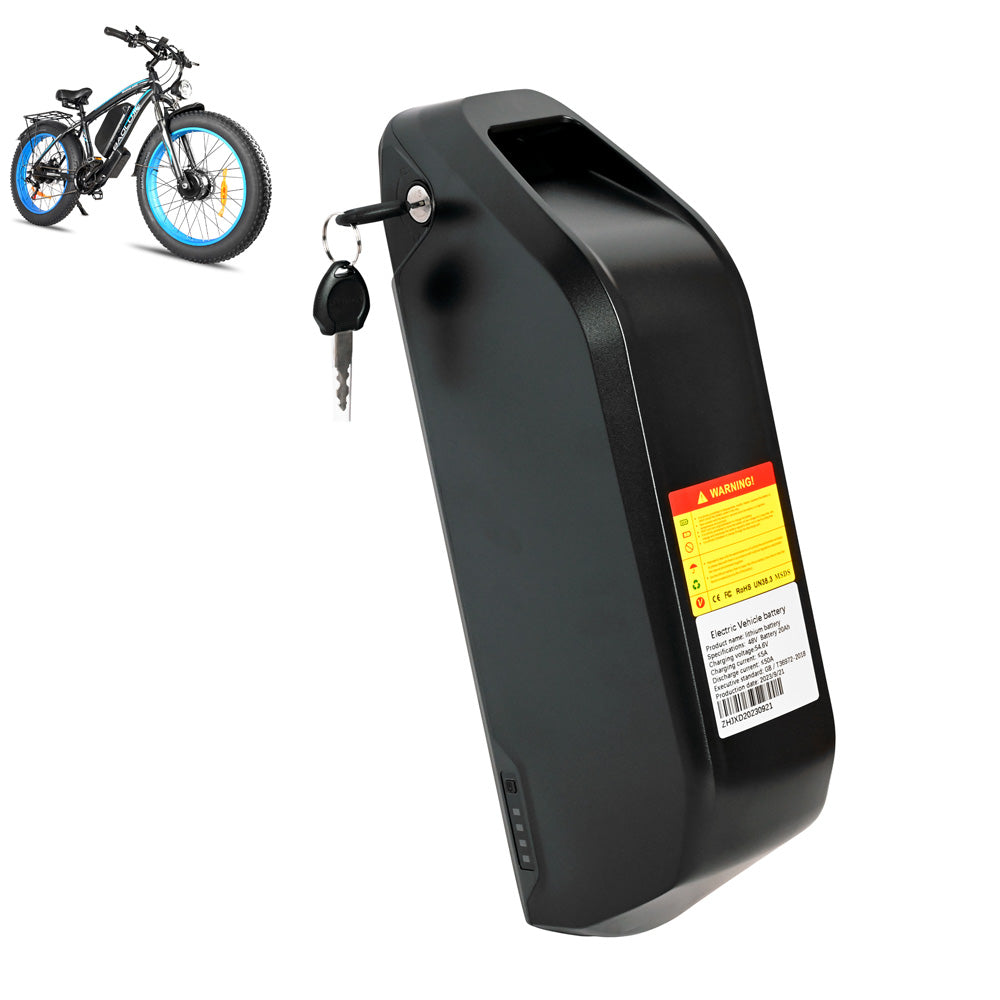 DP-2602 E-bike Spare battery 48V 20Ah
