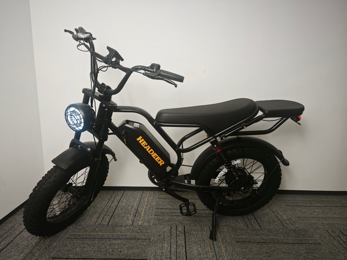 Headeer BK20 Full Suspension 20 Inch Fat e Bike Rich Bit eBike