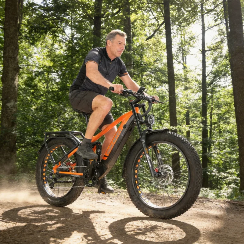 Lankeleisi Silvertip 8 Long Rang All Terrain Fat e Bike Rich Bit eBike