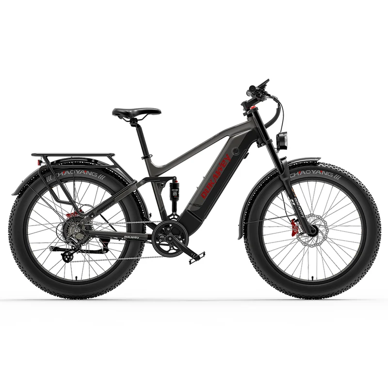 Lankeleisi Silvertip 8 Long Rang All Terrain Fat e Bike Rich Bit eBike