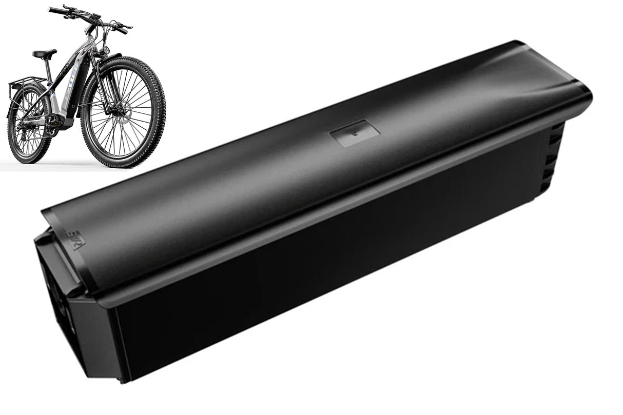 Speedy E-bike Spare battery 48V 14Ah RICH BIT EBIKE OFFICIAL STORE