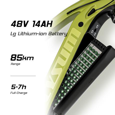 A Comprehensive Guide to Battery Care and Maintenance