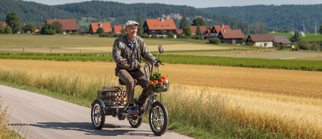 Lithium Battery Maintenance Tips - Rich Bit eBike