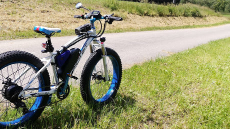 A Comprehensive Guide to Battery Care and Maintenance