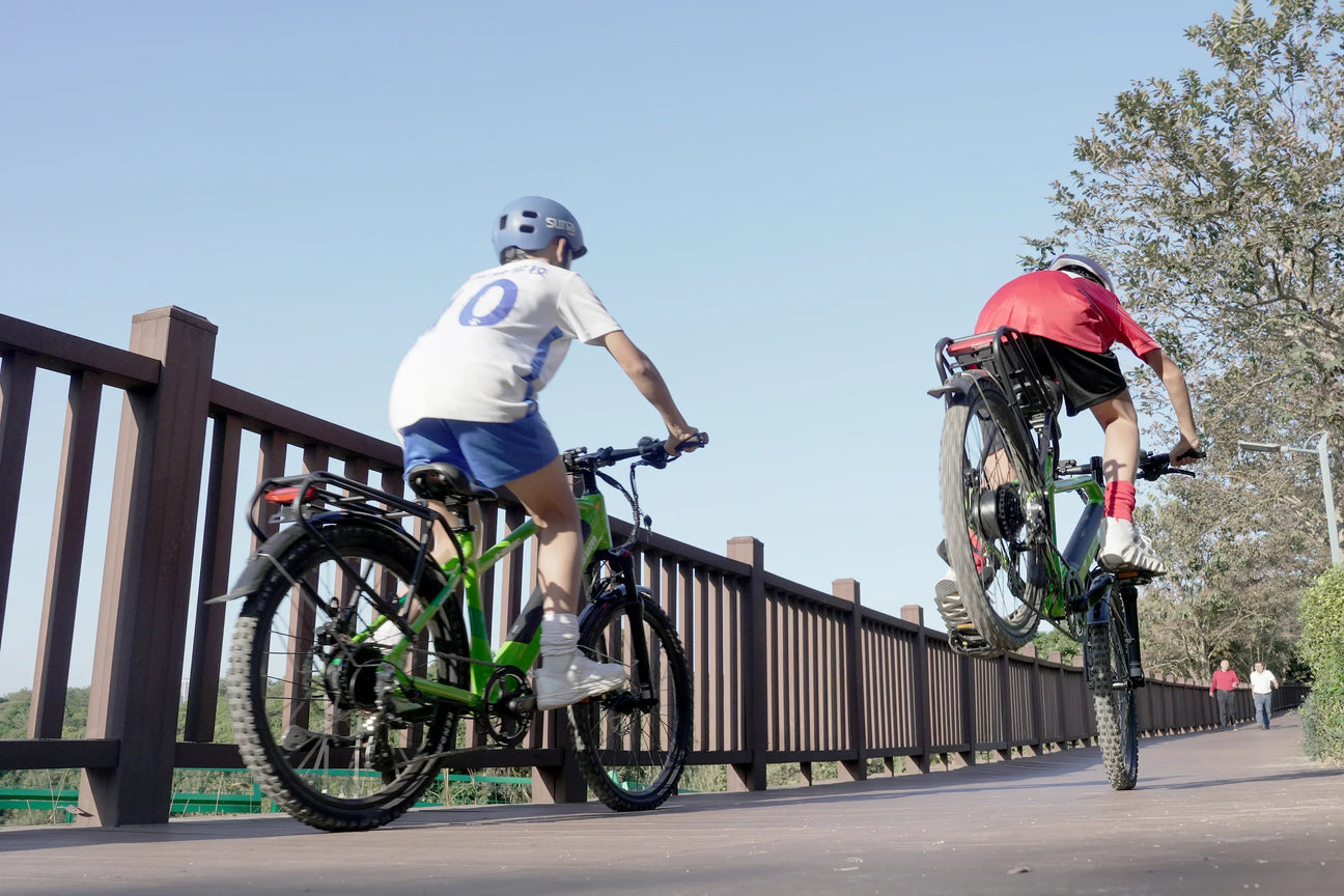 all ebikes - Rich Bit eBike