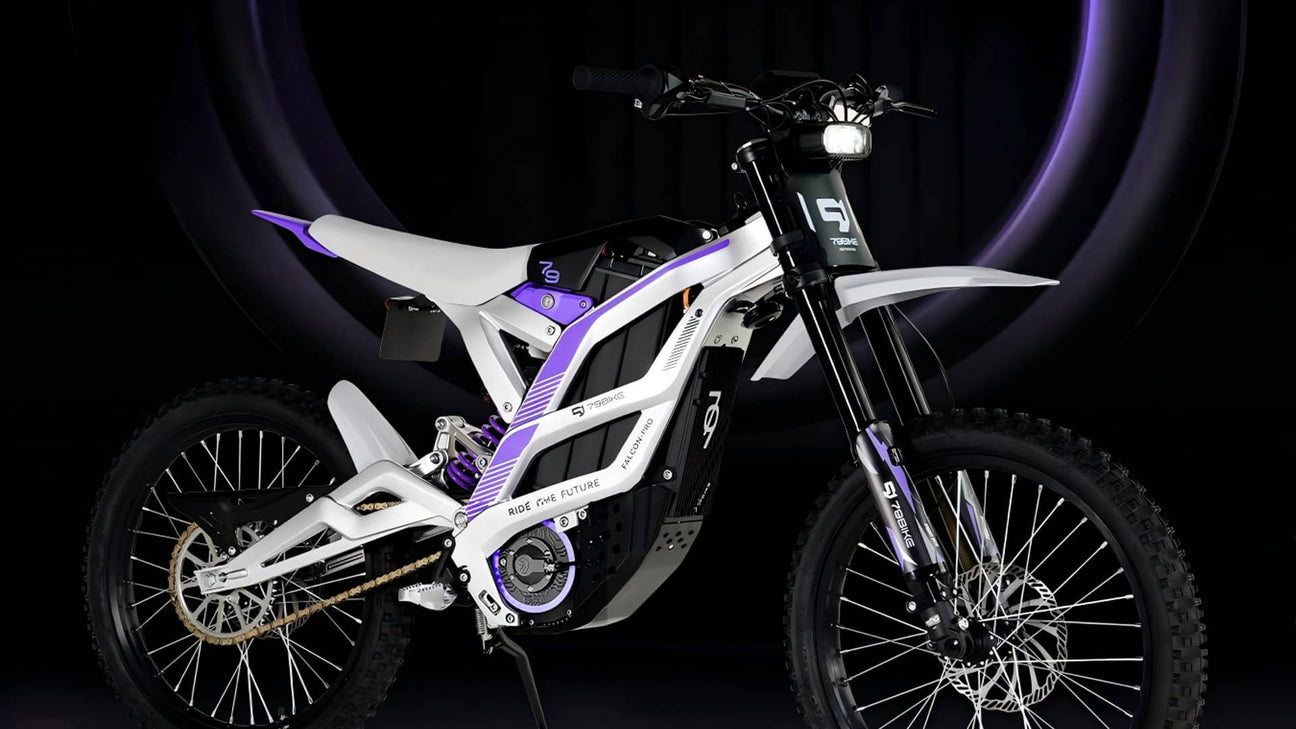 High-speed-Capability Rich Bit eBike