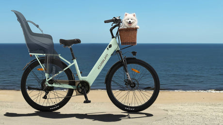 City-E-bikes Rich Bit eBike