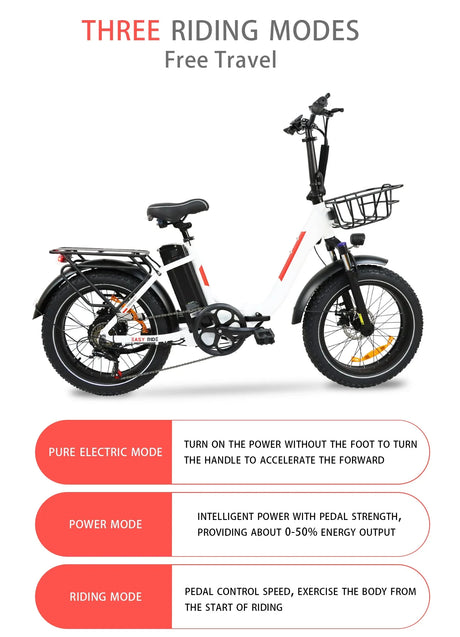BAOLUJIE DZ-2030 Foldable Fat Electric Bike 20inch | 48v 500w rear hub | Disc Brake | 13Ah lithium battery - Rich Bit eBike