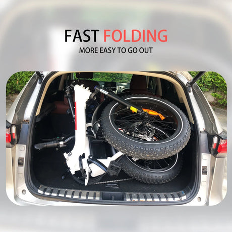 BAOLUJIE DZ-2030 Foldable Fat Electric Bike 20inch | 48v 500w rear hub | Disc Brake | 13Ah lithium battery - Rich Bit eBike