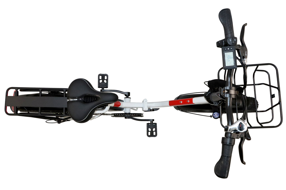 DZ-2030 Foldable Electric Bike, 20*3.0" Commuter Ebike, 48V 13Ah Li-Battery, 75Nm Adult Electric Bicycle