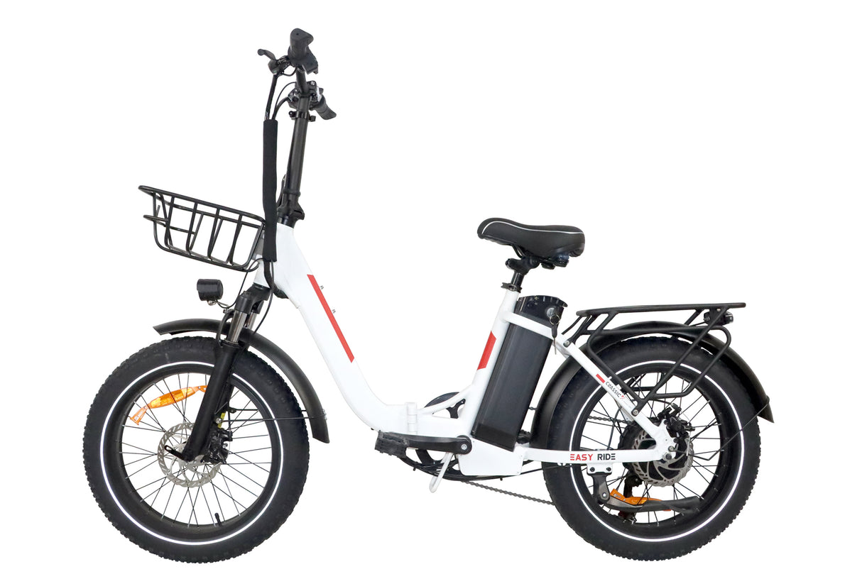 DZ-2030 Foldable Electric Bike, 20*3.0" Commuter Ebike, 48V 13Ah Li-Battery, 75Nm Adult Electric Bicycle