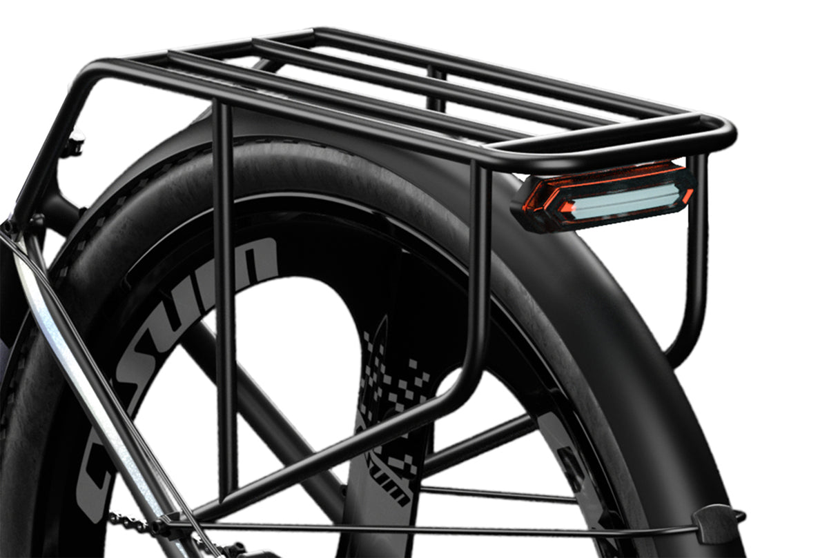 RICH BIT Rear Luggage Carrier For M520