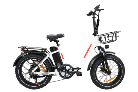 DZ-2030 Foldable Electric Bike, 20*3.0" Commuter Ebike, 48V 13Ah Li-Battery, 75Nm Adult Electric Bicycle