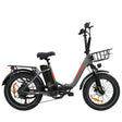 BAOLUJIE DZ-2030 Foldable Fat Electric Bike 20inch | 48v 500w rear hub | Disc Brake | 13Ah lithium battery - Rich Bit eBike