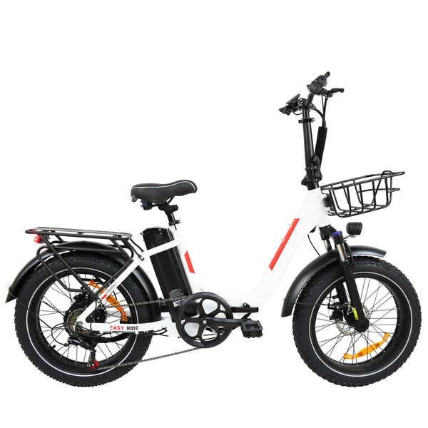 BAOLUJIE DZ-2030 Foldable Fat Electric Bike 20inch | 48v 500w rear hub | Disc Brake | 13Ah lithium battery