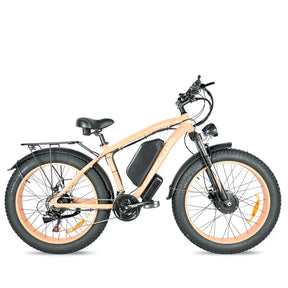 BAOLUJIE DP-2602 Fat Electric Bike 26inch | 48v 2000w Dual motor | Hydraulic Disc Brake | 20Ah lithium battery - Rich Bit eBike