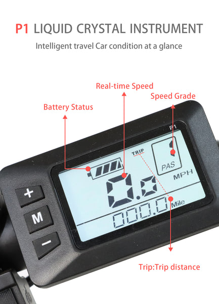 BAOLUJIE DZ-2030 Foldable Fat Electric Bike 20inch | 48v 500w rear hub | Disc Brake | 13Ah lithium battery