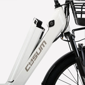 Lithium Battery 48V 10.4Ah for X-City Electric Bike - Rich Bit eBike
