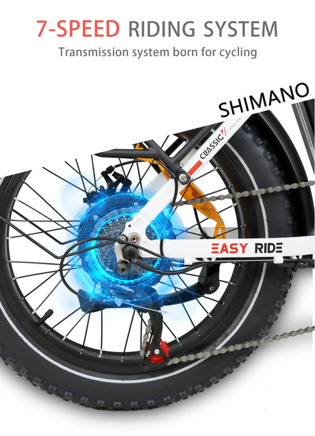 BAOLUJIE DZ-2030 Foldable Fat Electric Bike 20inch | 48v 500w rear hub | Disc Brake | 13Ah lithium battery - Rich Bit eBike