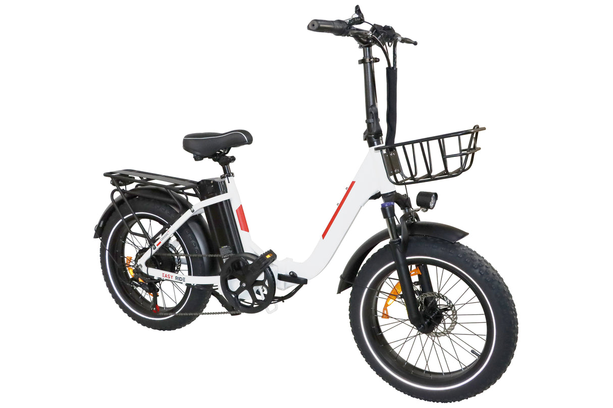 DZ-2030 Foldable Electric Bike, 20*3.0" Commuter Ebike, 48V 13Ah Li-Battery, 75Nm Adult Electric Bicycle