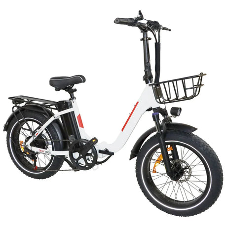 BAOLUJIE DZ-2030 Foldable Fat Electric Bike 20inch | 48v 500w rear hub | Disc Brake | 13Ah lithium battery - Rich Bit eBike