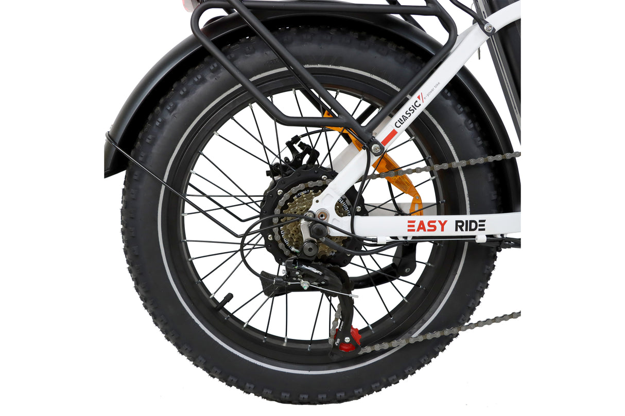 DZ-2030 Foldable Electric Bike, 20*3.0" Commuter Ebike, 48V 13Ah Li-Battery, 75Nm Adult Electric Bicycle