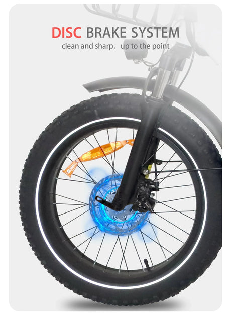 BAOLUJIE DZ-2030 Foldable Fat Electric Bike 20inch | 48v 500w rear hub | Disc Brake | 13Ah lithium battery - Rich Bit eBike