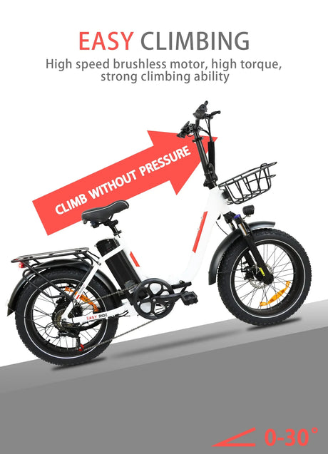 BAOLUJIE DZ-2030 Foldable Fat Electric Bike 20inch | 48v 500w rear hub | Disc Brake | 13Ah lithium battery - Rich Bit eBike