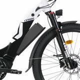 Panda E-bike Spare battery 48V 14Ah