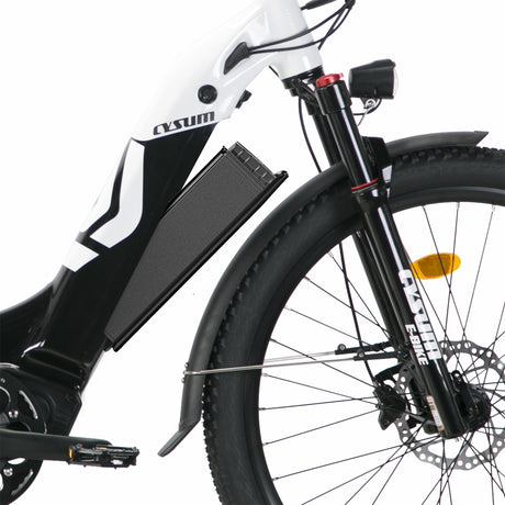 Panda E-bike Spare battery 48V 14Ah