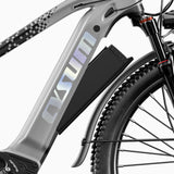 Speedy E-bike Spare battery 48V 14Ah